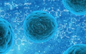 Revolution: Stem Cells in Medicine