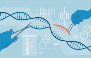 Editing genetico: limiti etici nella società