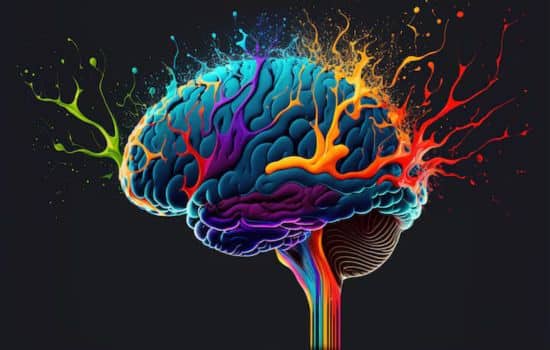 Cores: a conexão mente-percepção