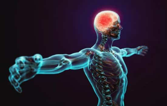 10 segredos incríveis do corpo humano