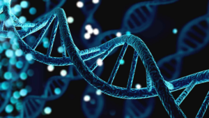 Desvendando o DNA: previsão de doenças