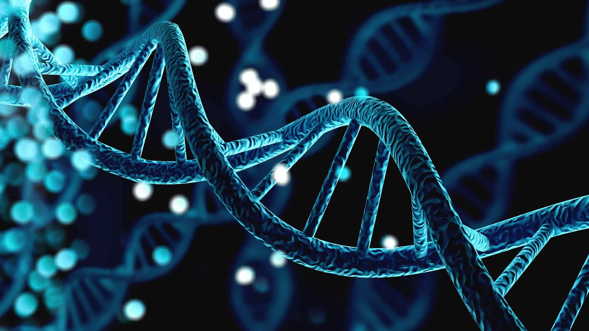 Desvendando o DNA: previsão de doenças