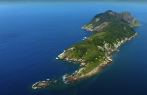 Snake Island: natura sovrana, umani invadenti