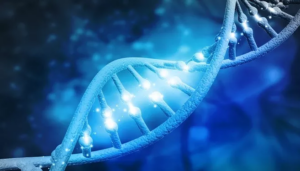 DNA: The Key to Modern Medicine