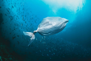 Ocean in danger: invisible microplastics