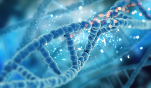 Desvendando os segredos das doenças através do DNA